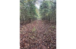 Old Hwy 42 S, Monroe, TN 38573
