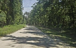 312th Ave, Old Town, FL 32680
