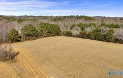 95 County Road 970, Logan, AL 35098
