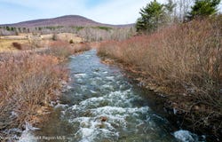 Spruceton Road, West Kill, NY 12492