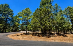 711 Pine Creek Drive, Lakeside, AZ 85929