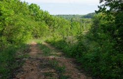 Terrace Lane, Cape Fair, MO 65624