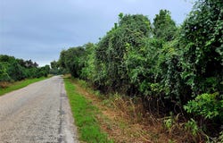 446 Riverside Dr, Bastrop, TX 78602