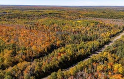 Wales Rd, Two Harbors, MN 55811