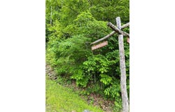 Shagbark Dr lot: 80, Sylva, NC 28779