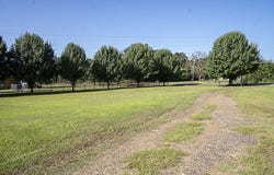 1708 N Pine Street, Vivian, LA 71082