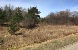 291 TRACK IRON Trail, Gladwin, MI 48624