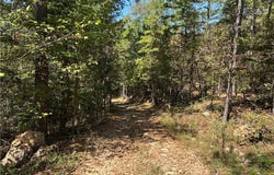 Cane Branch, Western Grove, AR 72685
