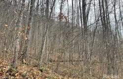 805 Sparkling Falls Road, Whittier, NC 28789