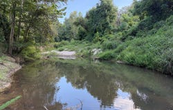Hwy 7, Holcomb, MS 38940