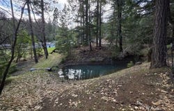 2141 McAlexander Rd, Hayfork, CA 96041