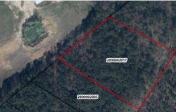 French Williams Road, Sumter, SC 29153
