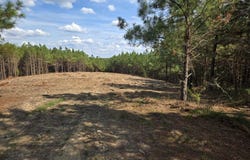 189 Evergreen Drive, DOVER, TN 37058