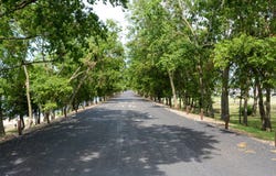 125 Pond Trail, Kemp, TX 75143