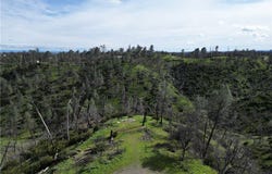 7074 Sugar Pine Court, Corning, CA 96021