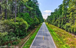 Parcel 2 Freddie Frank Road, Pass Christian, MS 39571