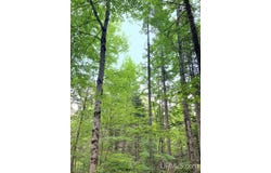 722 S Carlshend Road, Skandia, MI 49885-0000