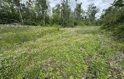 1692 N Galbraith Road, Mio, MI 48647