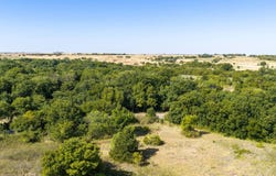 E 1880 Rd, Comanche, OK 73529