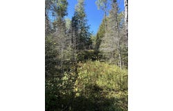 585 N Czech Ln, Hessel, MI 49745
