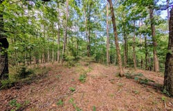 198 Cathedral Pines, Mena, AR 71953