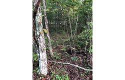 39 Luka Ln lot: 70, Crossville, TN 38572