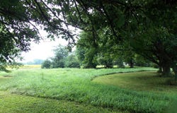 1151 G Avenue, Ogden, IA 50212