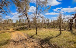 NSA Charron Lane, Redding, CA 96003