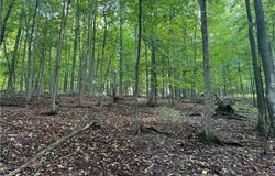 4 Nob Road, Utica, NY 13501