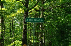 Beaver Meadow Road, Roxbury, VT 05669