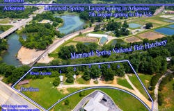 Mammoth Spring, AR 72554