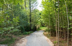 00-TBD W HOOVER, MADISON, VA 22727