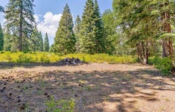 2-D-31 Snowline Circle, McCloud, CA 96057