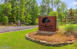 Springwood Trail lot: 1, Flora, MS 39071