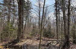 1438 Gregory Rd, Camden, NY 13316