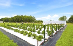 4020 FM 515A, Emory, TX 75440