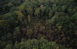 Highway 25, Wilsonville, AL 35044