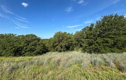 153 Post Oak Cove, Sunset, TX 76270