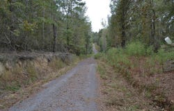 477 Thor Road, Pelion, SC 29123-9198
