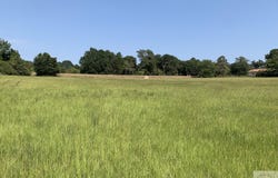 FM 2328, Atlanta, TX 75551