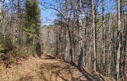 115 Crowe Mountain Lane, Murphy, NC 28906