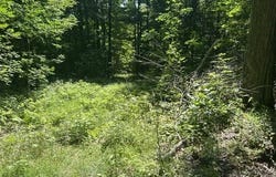 V/L TEAL, PELLSTON, MI 49769