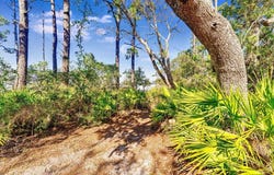 223 N Bay Shore Dr, Eastpoint, FL 32328