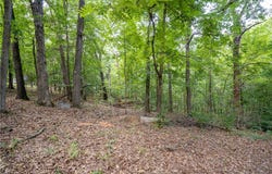 Cook Lane lot: 22, Bella Vista, AR 72715