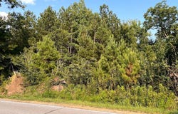 106 Wilson Bridge Rd, Ninety Six, SC 29666