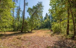 Rockydale Road, Cave Junction, OR 97523