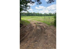 439 Nevada 298, Prescott, AR 71857