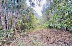 Apple Tree Rd, Gilmer, TX 75644