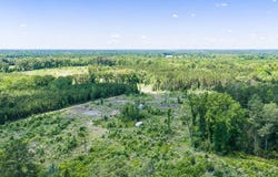 Mule Deer Road, Gilmer, TX 75644