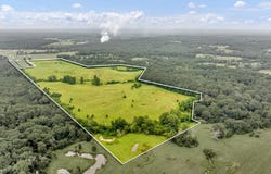 County Road 435, Tenaha, TX 75974